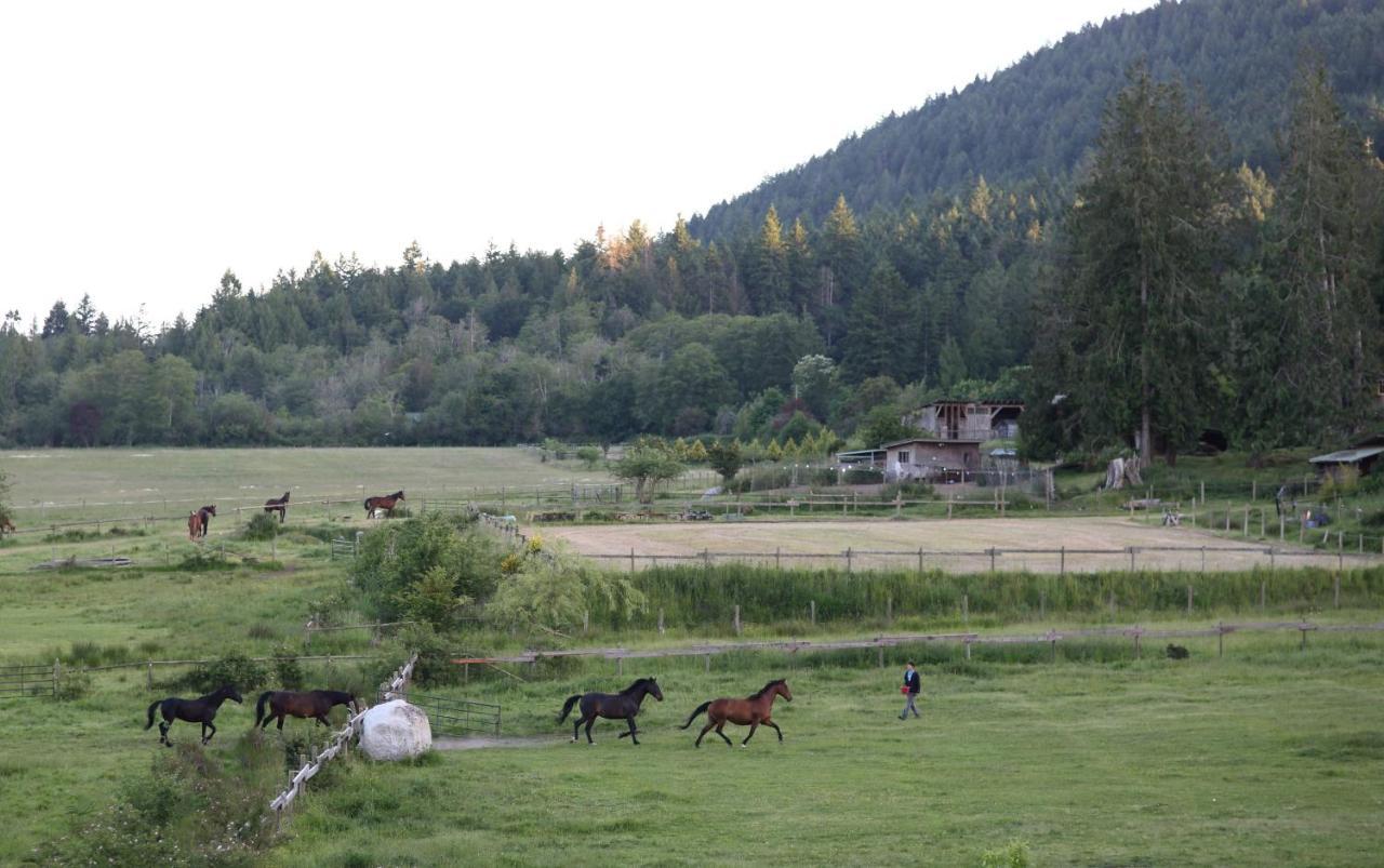 Woodstone Manor Inc. Hotel Sturdies Bay Kültér fotó